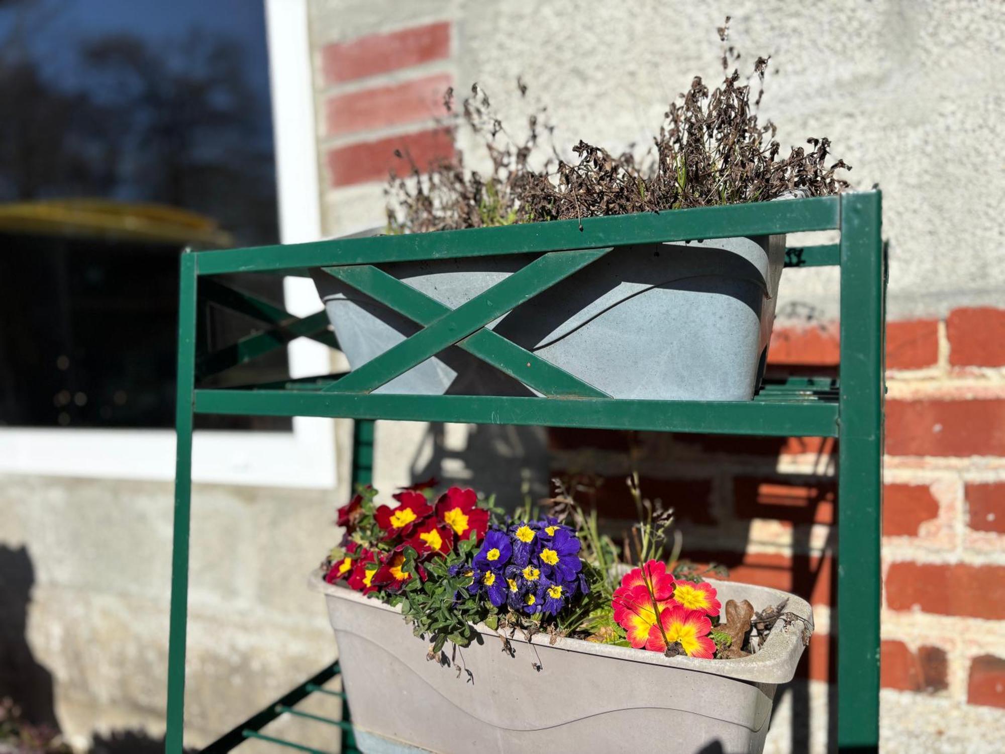 Maison De Campagne Lumineuse Spacieuse Dans Impasse Au Calme A Proximite D'Un Chateau Deux Verandas Grand Jardin Cabane Pour Velos, Pres Port En Bessin Et Bayeux, Proche Plages Du Debarquement Commes Exterior photo